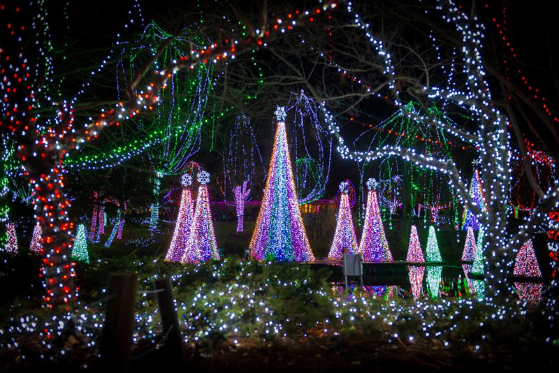 Christmas Lights At The Columbus Zoo Paul Smith